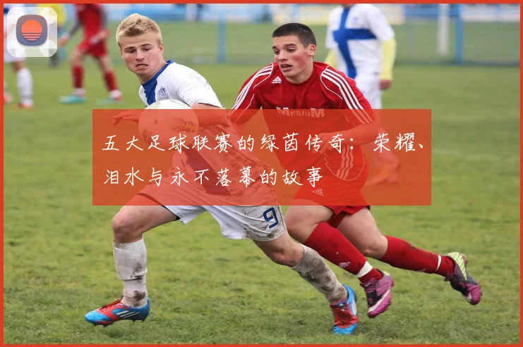 五大足球联赛的绿茵传奇：荣耀、泪水与永不落幕的故事