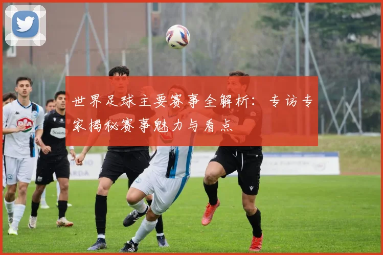 世界足球主要赛事全解析：专访专家揭秘赛事魅力与看点