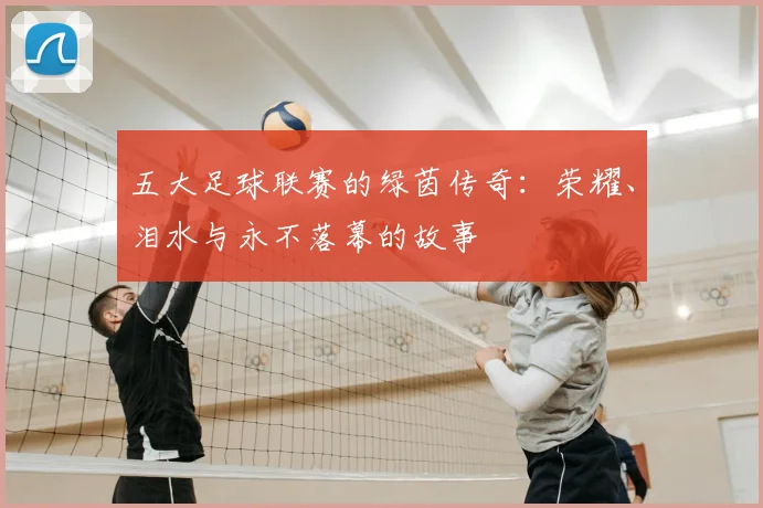 五大足球联赛的绿茵传奇:荣耀、泪水与永不落幕的故事